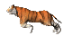 tiger's symbol